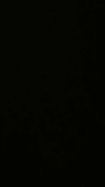 Fred flinstone from temu