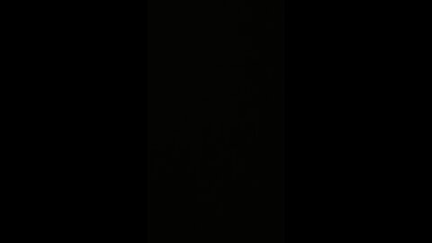 Fred flinstone from temu