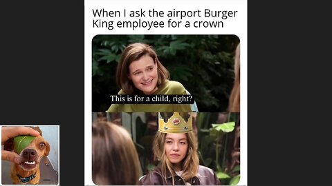 Memes That Will 99.0453% Make You Laugh. (e677)