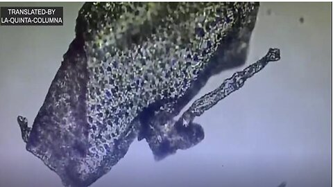 THE VACCINATED | ARE IRREVERSIBLY MUTATED