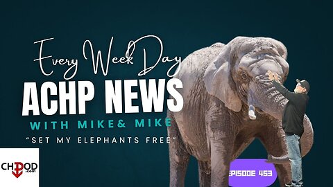 Hustler Every week Day Episode 453 "Set My Elephants Go Free"