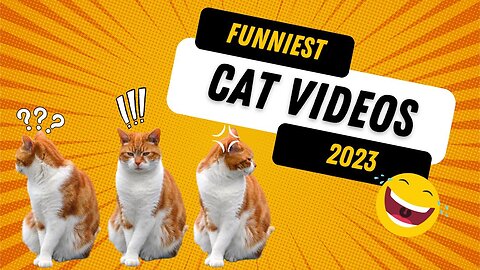 Cat-tastic Moments: The Funniest Feline Antics of 2024"**