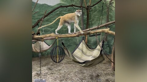 Vacation to Syracuse NY