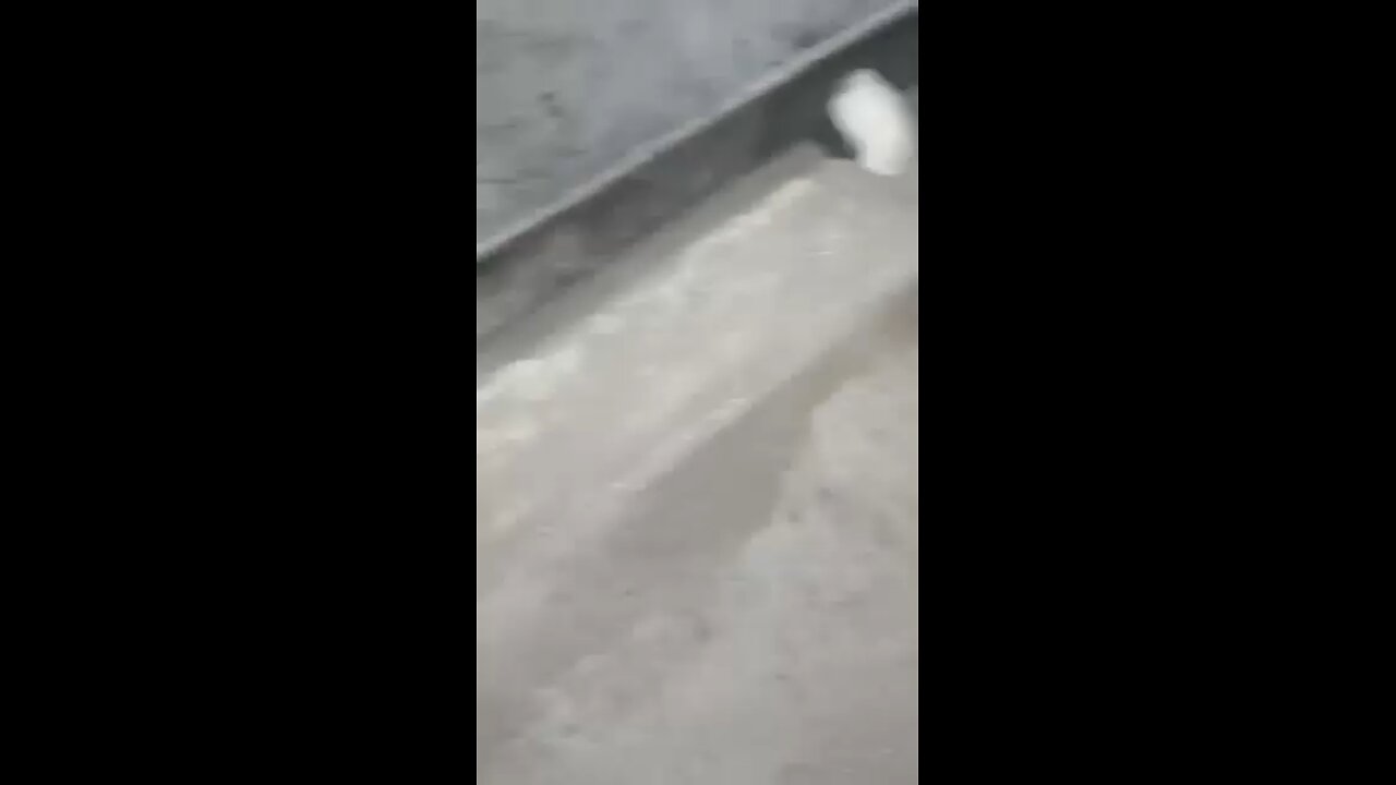 پھولنگر پتوکی ظلم کی انتہاءحوا کی بیٹی خاوند اور سسرالیوں کے مظالم کا شکار
