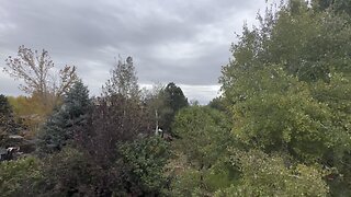 Windy outside