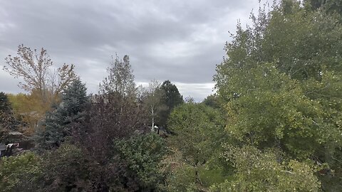 Windy outside