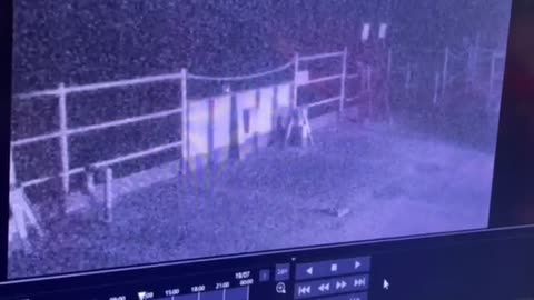 😱👻 You Won't Believe What They Caught on Camera! Unexplained Phenomenon | TheHauntingHour