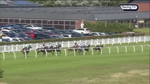 Unbelievable horse race! Five horses are separated by inches in thrilling finish!