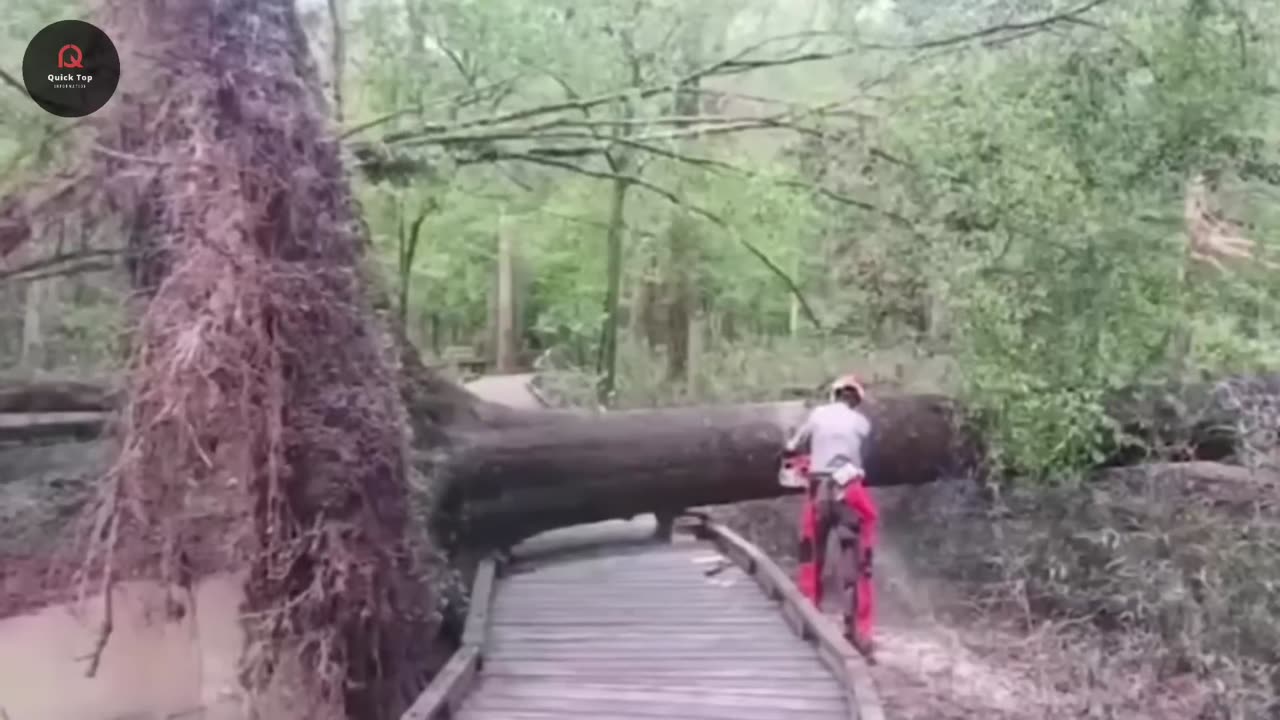 π 70 INSANE Nature Moments You Wonβt Believe! π±π₯