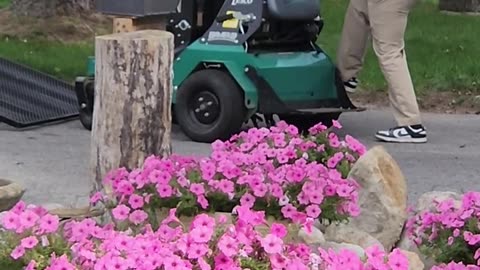 Awful Chemical Spraying Giant Lawn Mech.