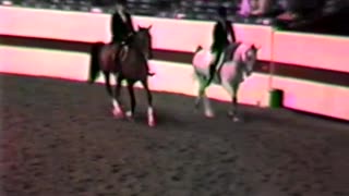 1987 - Arabian & Half Arabian Show