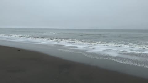 ASMR Cool Coastal Tranquility