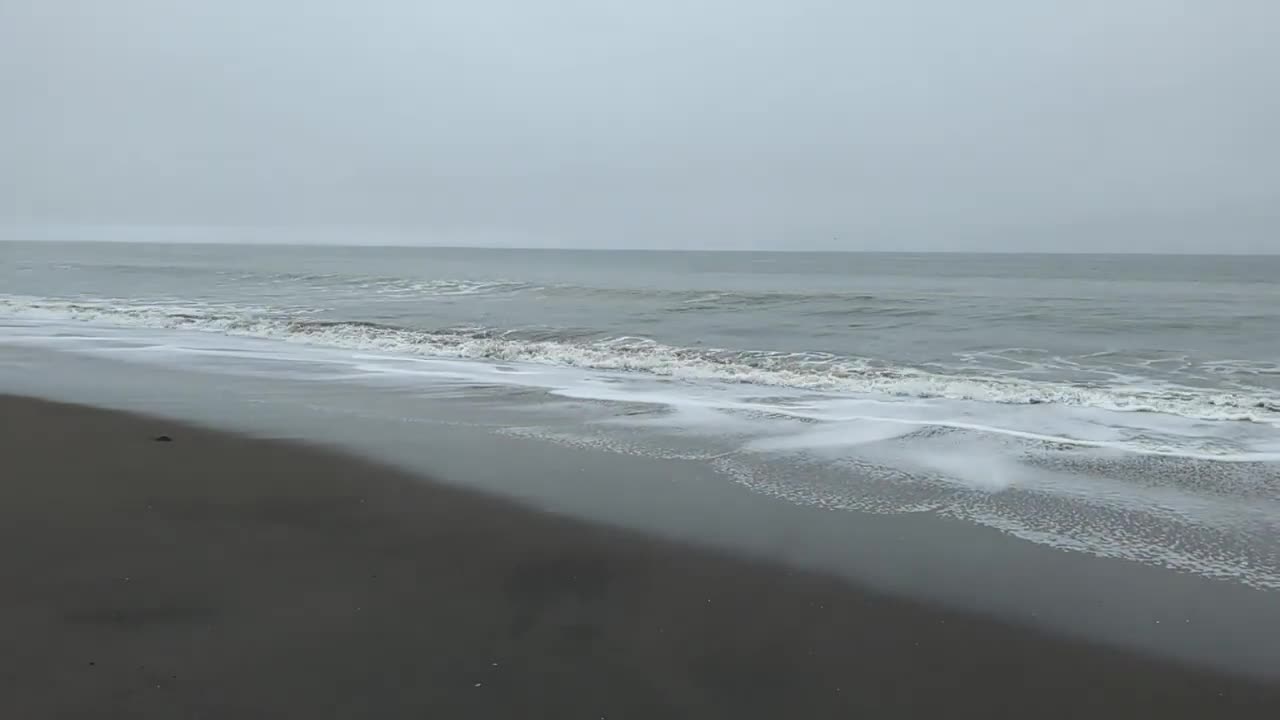 ASMR Cool Coastal Tranquility