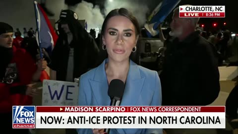 Foreigners are waving MEXICAN FLAGS at a chaotic anti-ICE protest