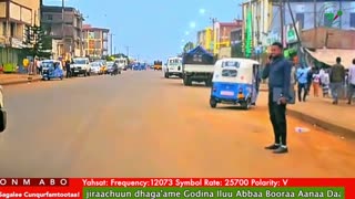 Oduu Waaree ONM-ABO Sadaasa 13-2025 itti dhiyaadhaa!