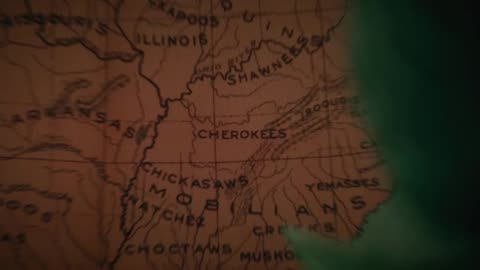 The Appalachian Rainforest The Most Diverse In The U.S. Amazing Beauty