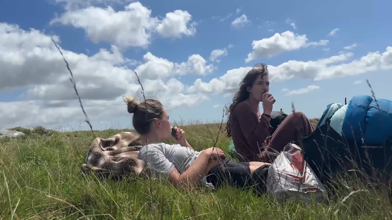 wild camping & swimming in dartmoor's ancient woods