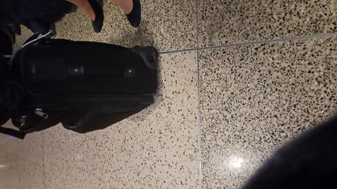 Operation Airhose - dipping flight attendant