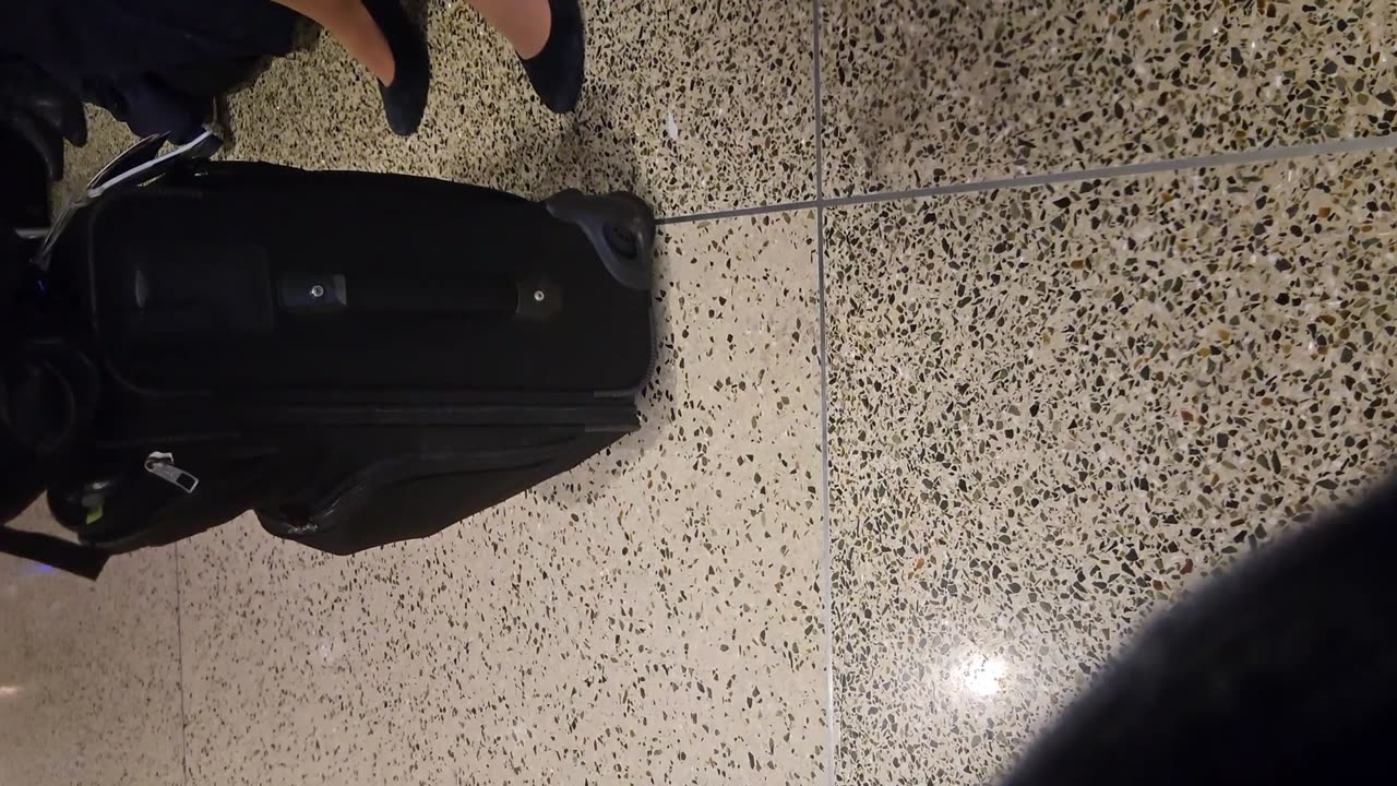 Operation Airhose - dipping flight attendant