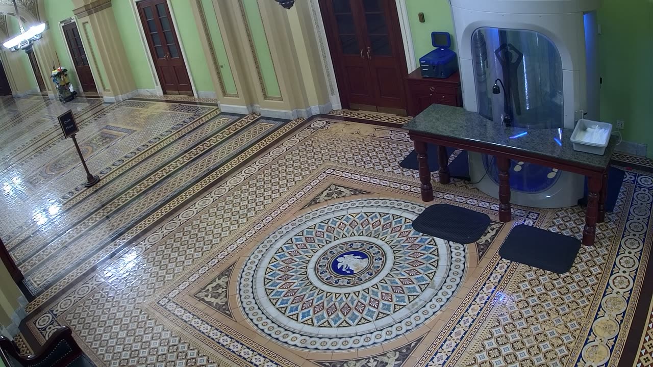 0303USCS03SenateGallerySEnearS309_2021-01-06_04h00min28s987ms.mp4