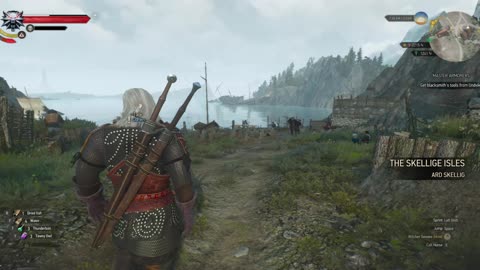 The WItcher 34