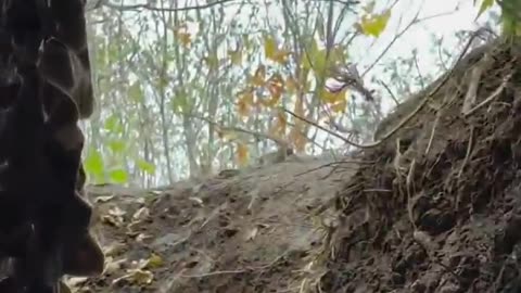 💥🇺🇦 Ukraine Russia War | Russian Shelling in Ukraine | RCF