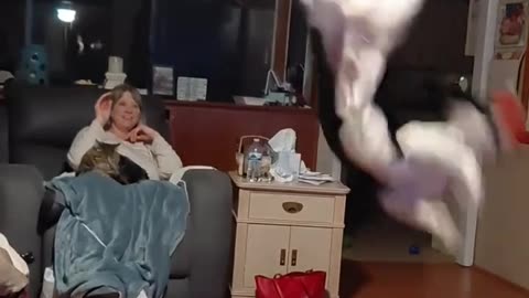 What a show off 🤣