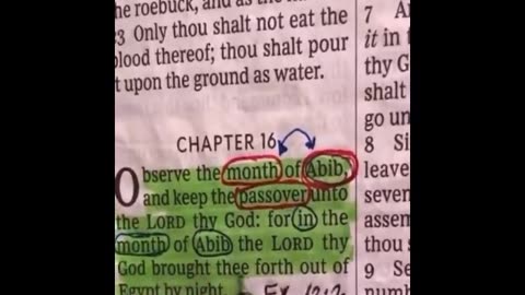 when is the new year