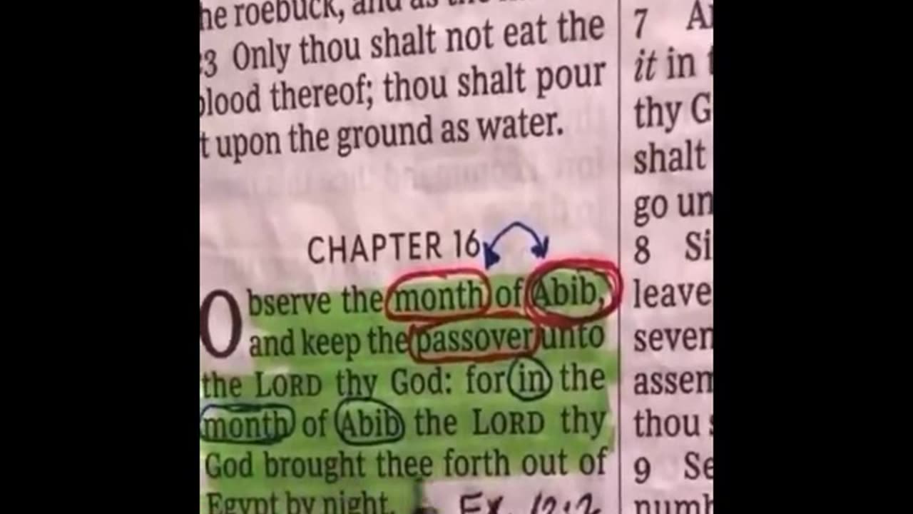 when is the new year