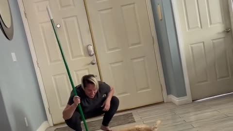 Puppy Helps Clean the Floor