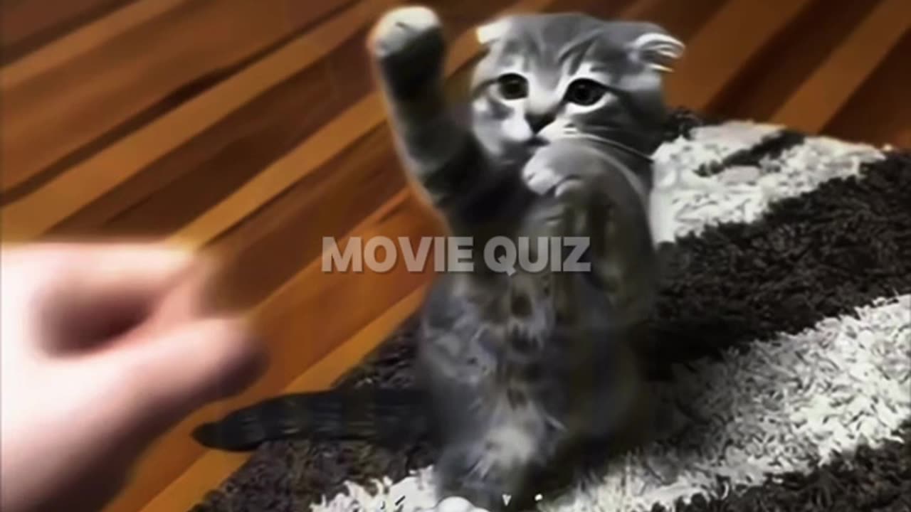Most Incredible Felines You've Ever Seen - Part 2