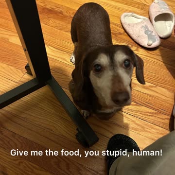 I wonder what Finny thinking