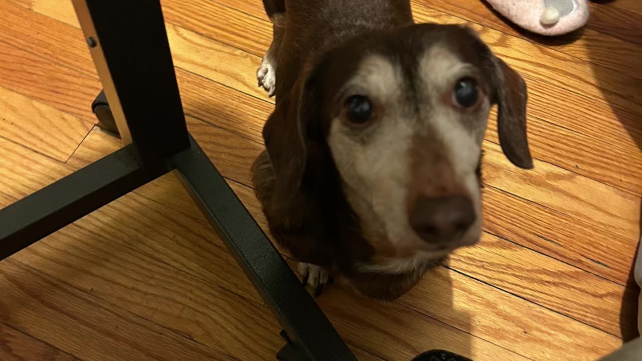 I wonder what Finny thinking