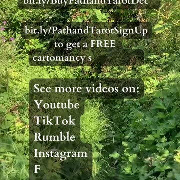 Rise Again Limitless Times | Path and Tarot Reading