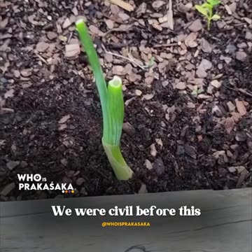 This Is How You Break The Matrix