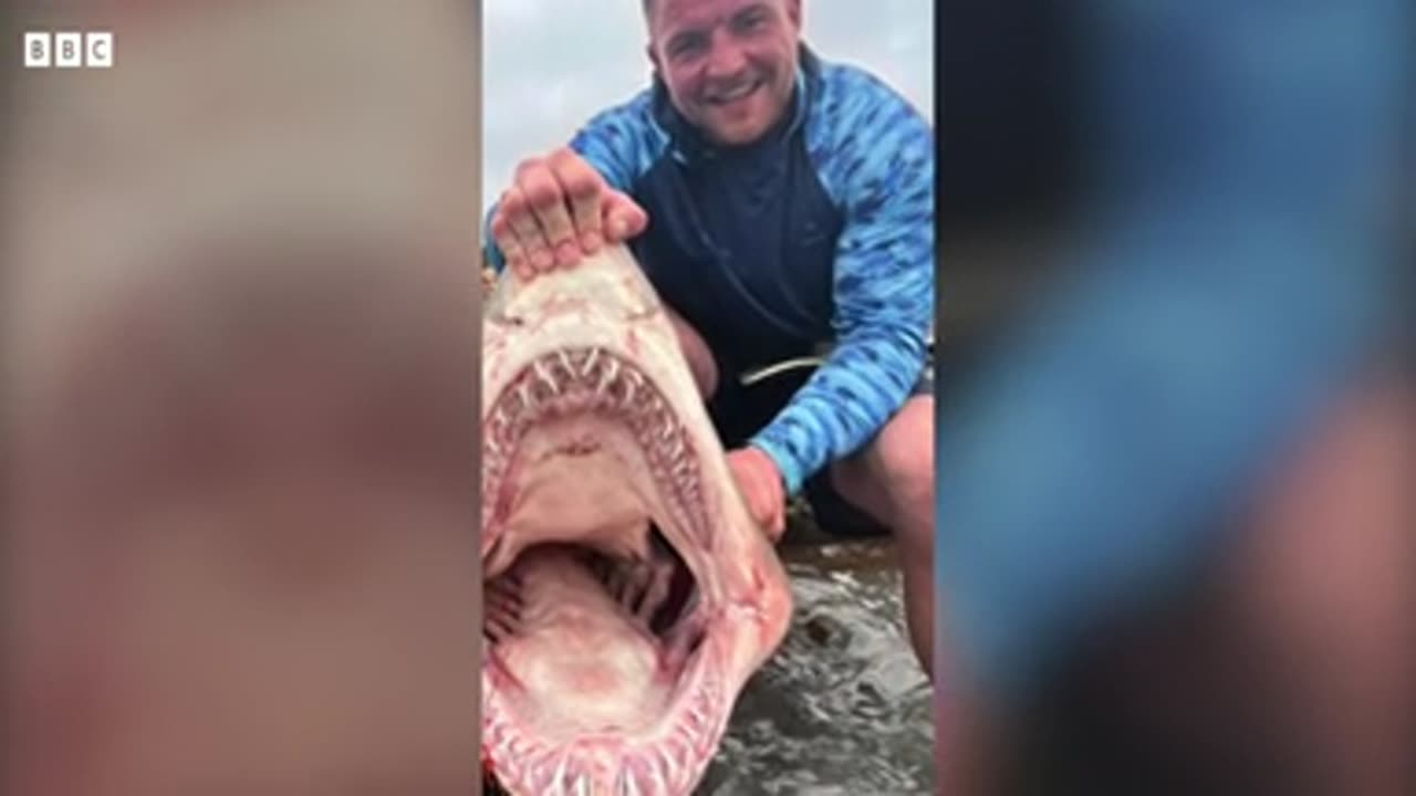 Shark bite 'a strength I'd never felt in my life'