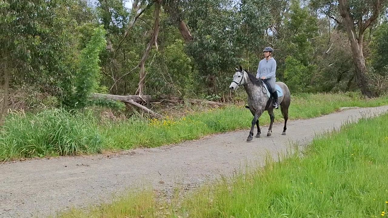 5-Trail riding, skip ahead to 00:20 scary bridge.