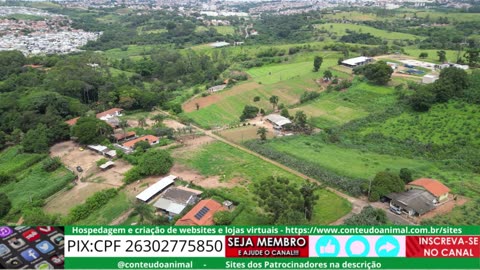 drone - voo fonte mécia valinhos sp 8 de fev 2025 parte 3