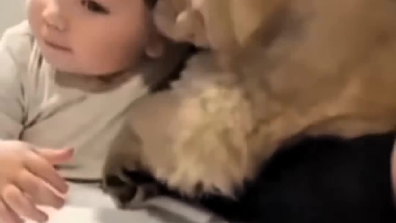 Baby & dog truly love each other ❤️ #baby #dog #toddler #puppy #love #cute #adorable #moments