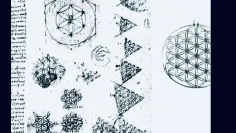 The Flower of Life (Blastocyst)
