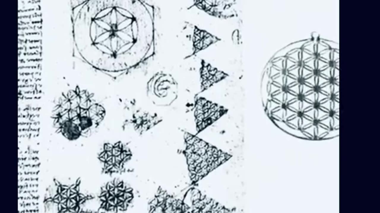 The Flower of Life (Blastocyst)