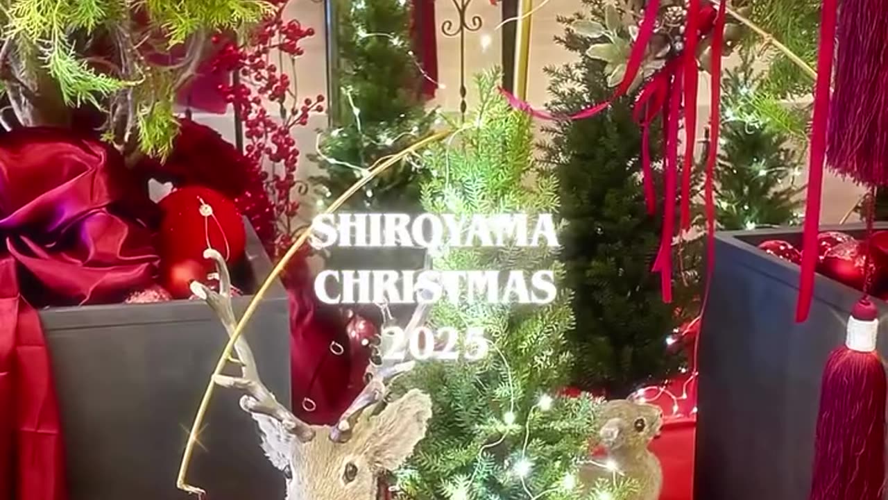 There's finally about a month left until Christmas 🎄✨