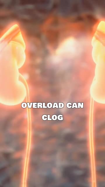 Myoglobin: The Muscle Protein with a Dark Side