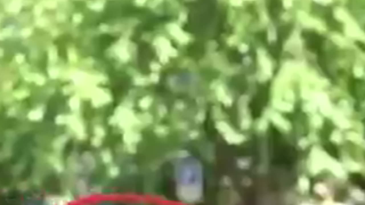 Unbelievable: This Robot Can Now Do Parkour!