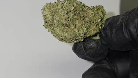 Sweet Tart THCA Flower by the Ounce
			