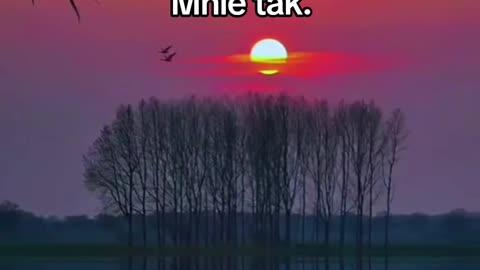 Ech