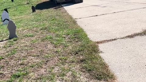 Car Pushes Garbage Bin Up Steep Driveway