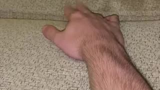😂🐶 This Dog's Reaction Will Make Your Day! | FunFM