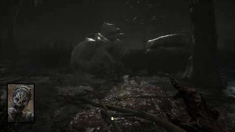 What is happening with my logs