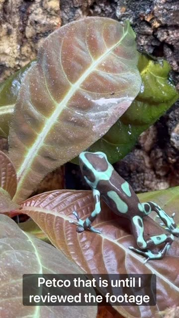 A Couple Months Made A HUGE difference!